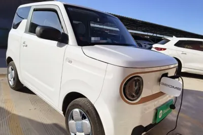 Geely Galaxy Panda
