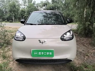 Wuling Bingo