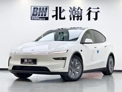 Tesla Model Y L