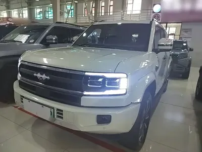 Fang Cheng Bao Leopard 5