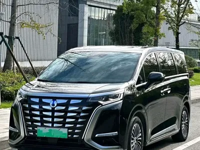 Denza Denza D9