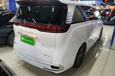 Denza D9