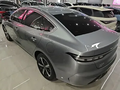 BYD Destroyer 05