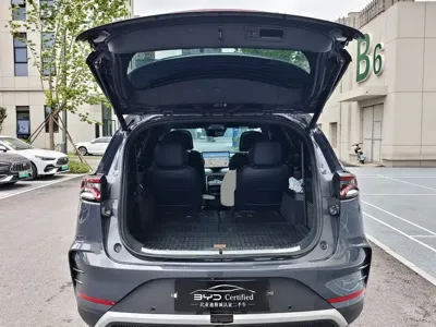 BYD Tang New Energy