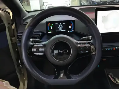 BYD Seagull