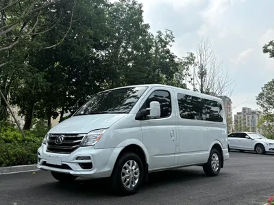 Maxus V80