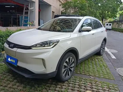WM Motor EX5