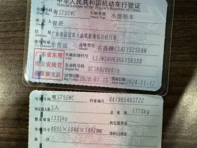 MG MG6
