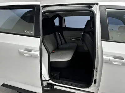 BYD D1