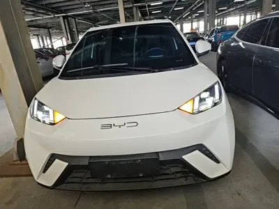 BYD Seagull
