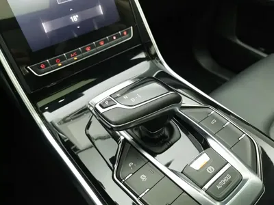 Maxus D60