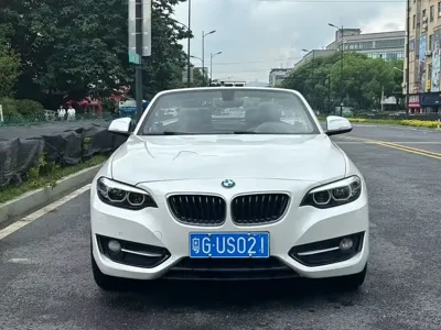 BMW 2 Series (Import)