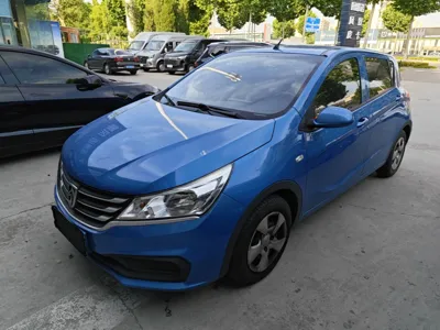 Baojun 310