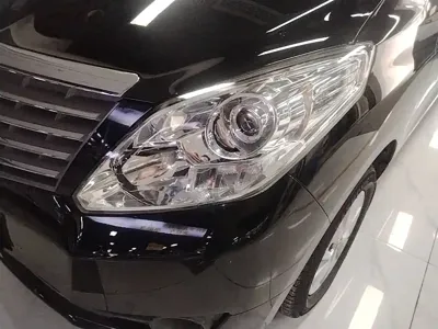 Fengxing Lingzhi PLUS