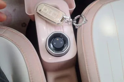 Geely Galaxy Panda