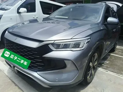 BYD Pro New Energy