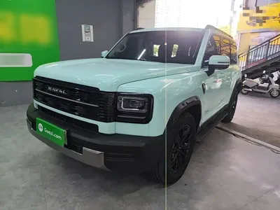 Haval Menglong New Energy