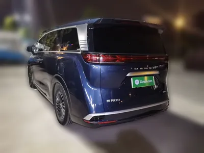 Denza D9