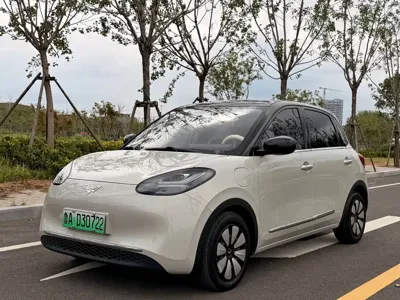 Wuling Bingo