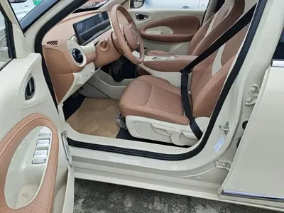 Wuling Bingo