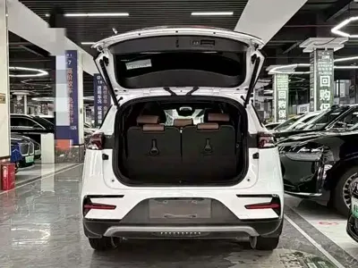 BYD Tang New Energy