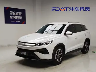 BYD Pro New Energy