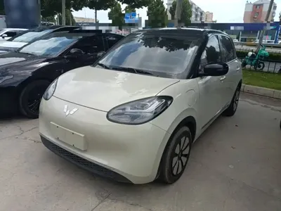 Wuling Bingo