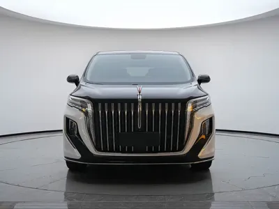 Hongqi Hongqi HQ9
