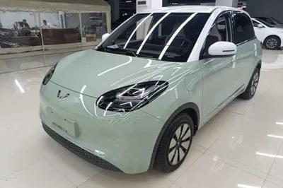 Wuling Bingo