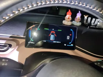 BYD Seagull