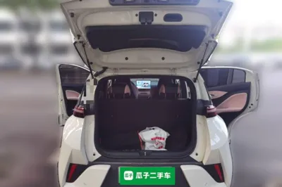 BYD Seagull