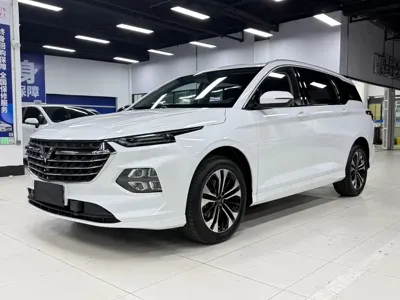 Wuling Victory