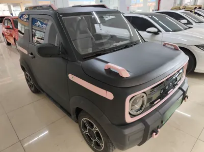 Geely Galaxy Panda