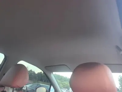 NETA Neta V