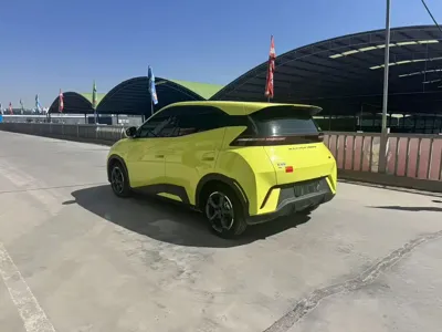 BYD Seagull