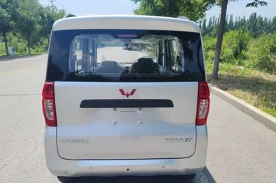 Wuling Zhiguang New Energy