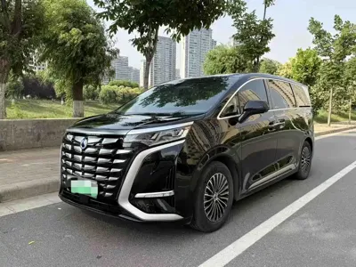 Denza Denza D9