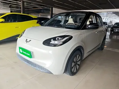 Wuling Bingo