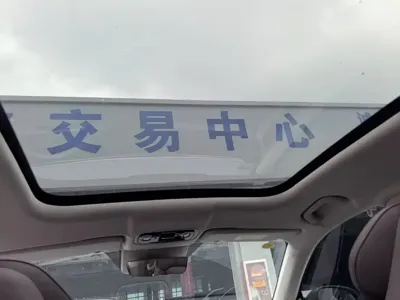 Leapmotor Leapmotor C11