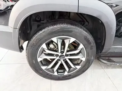Haval Big Dog