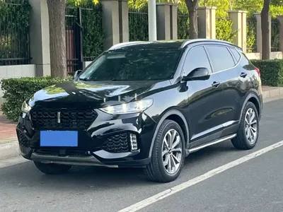 WEY Wey VV6