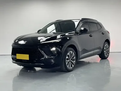 Buick Envision S