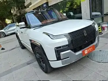 Yangwang Yangwang U8