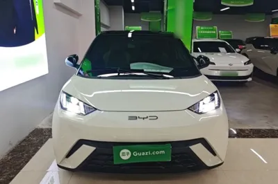BYD Seagull