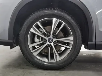 BYD Pro