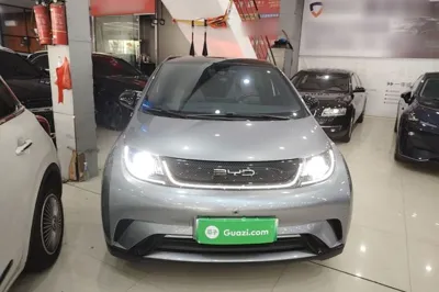BYD Dolphin