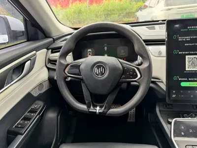 WM Motor EX5