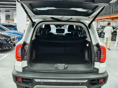Haval Big Dog