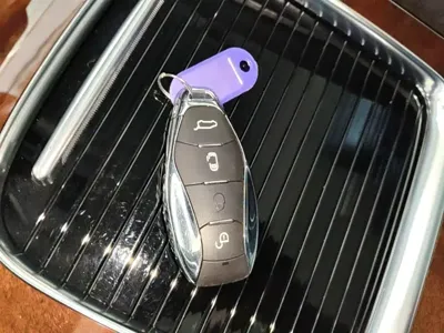 Hongqi Hongqi HQ9 PHEV