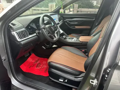 BYD PLUS